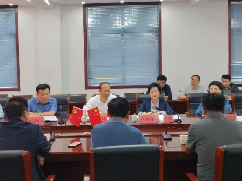 市委副书记孙艳辉赴信访工作联系点濉溪县南坪镇带案下访